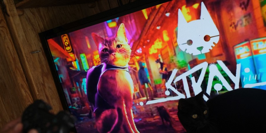 le chat de gouttière du jeu vidéo stray vu à l'écran